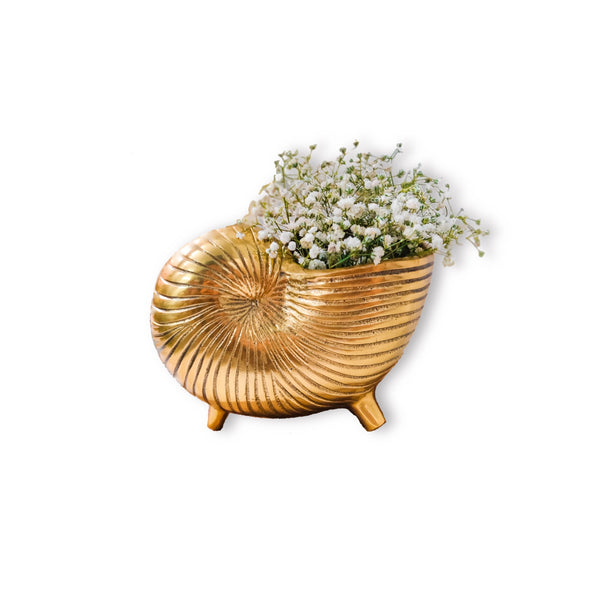 Mini Snail Shell Planter / Pen Stand / Vase in Gold 1 BHK Interiors