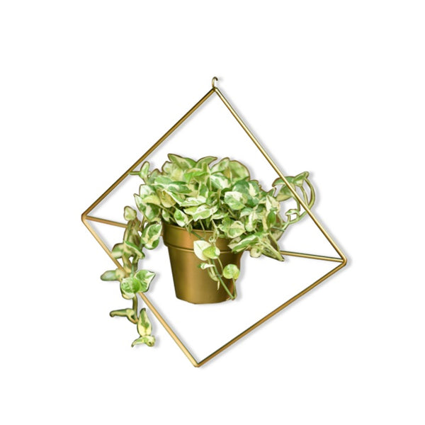 Diamond Shaped Metal Hanging Planter in Gold Finish 1 BHK Interiors