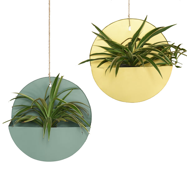 "Lunar" Hanging Metal Mounted Wall Planter / Letter Box in Fern Green 1 BHK Interiors