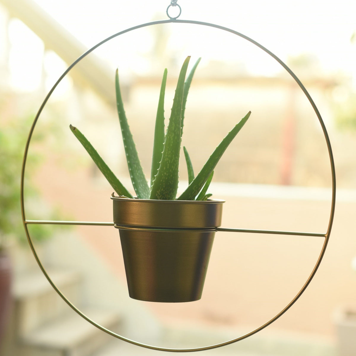large gold hanging planter Round Metal Hanging Planter in Gold Finish (Large)