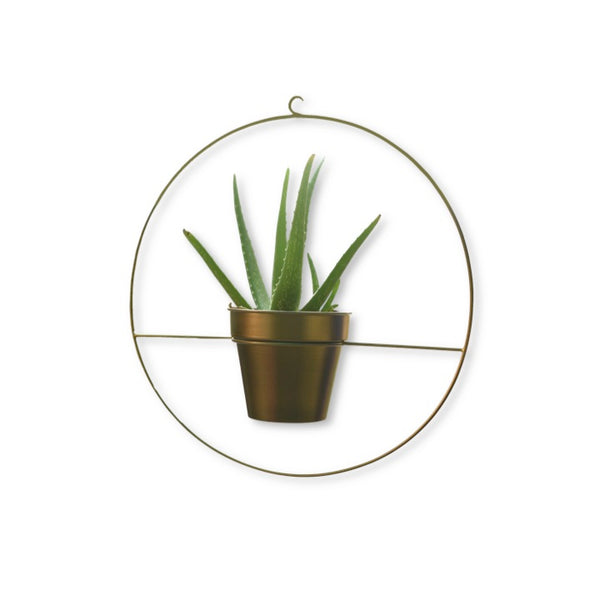 Round Metal Hanging Planter in Gold Finish (Large) 1 BHK Interiors