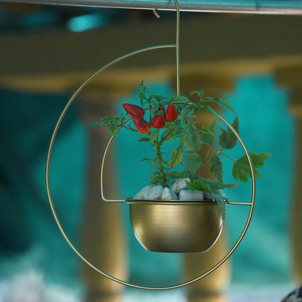 Spiral Metal Hanging Planter/Bird Feeder in Gold Finish 1 BHK Interiors