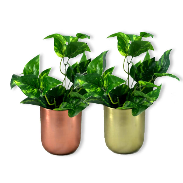 Curved Glossy Metal Table Top Pot / Planter in Rose Gold or Gold 1 BHK Interiors