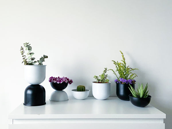 Venus Double Decker Metal Planter / Pot in Matte Finish -