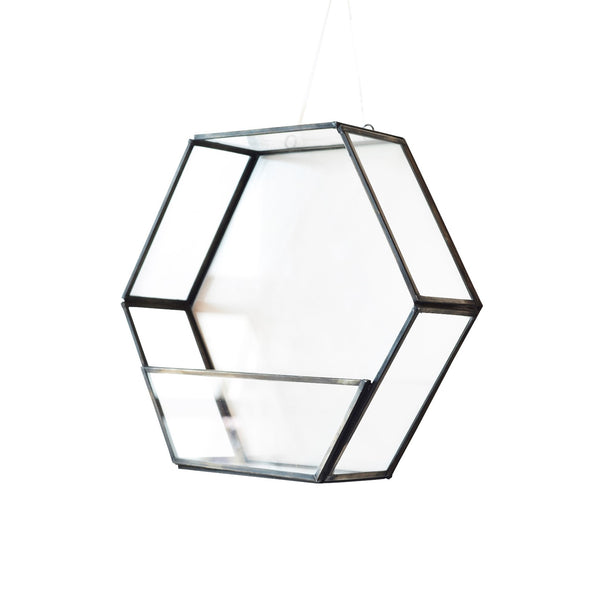 Hexagon Hanging Planter in Metal & Glass in Gold Finish 1 BHK Interiors