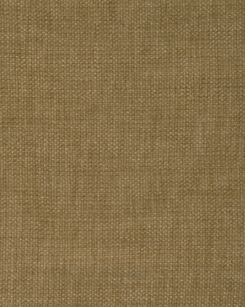 "Gaga" Curvy Armed Three Seater Sofa in Velvet Finish with Teak Legs - 6 colour options 1 BHK Interiors