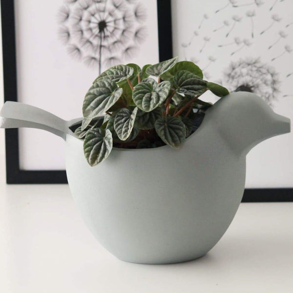 Peace & Dove Metal Table Top Planter in 2 Colours - Light