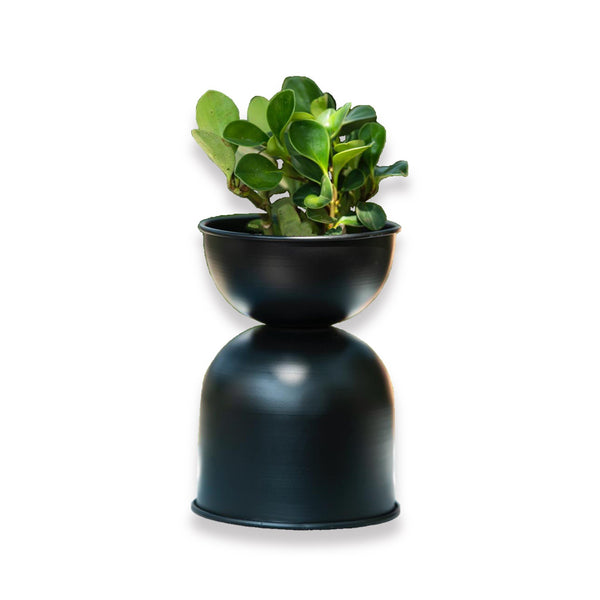 Venus Double Decker Metal Planter / Pot in Matte Finish -