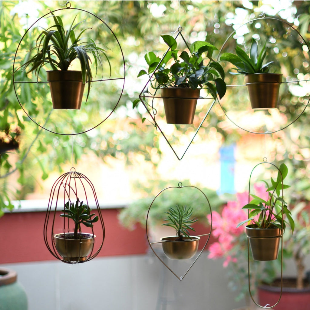 Gorgeous Hanging Planters To Beautify Your Home