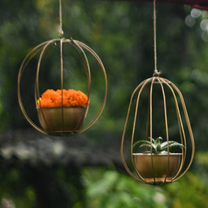 Hanging Planters