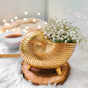 Mini Snail Shell Planter / Pen Stand / Vase in Gold 1 BHK Interiors