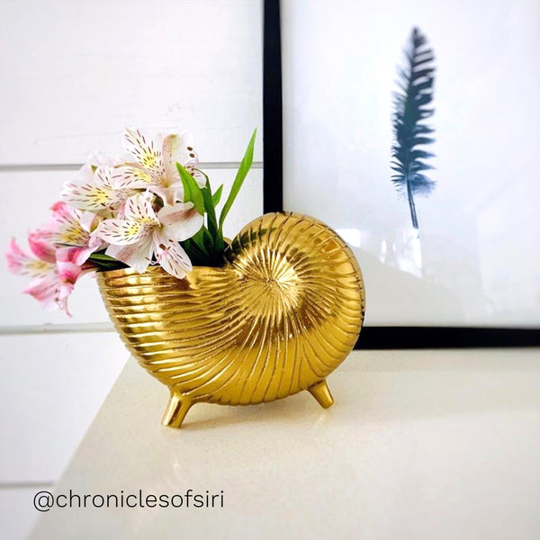 Mini Snail Shell Planter / Pen Stand / Vase in Gold 1 BHK Interiors