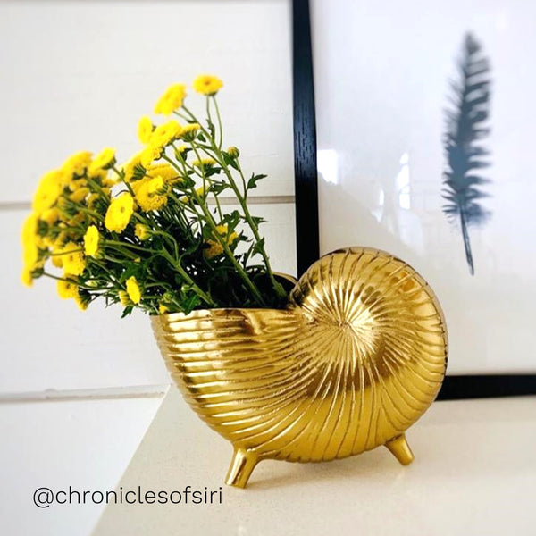 Mini Snail Shell Planter / Pen Stand / Vase in Gold 1 BHK Interiors