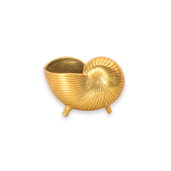 Mini Snail Shell Planter / Pen Stand / Vase in Gold 1 BHK Interiors