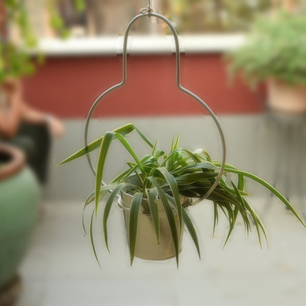 Bulb Shaped Metal Hanging Planter in White 1 BHK Interiors