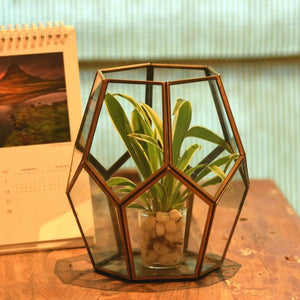 "Cobweb" Metal & Glass Terrarium Candle Holder / Planter in Gold Finish 1 BHK Interiors