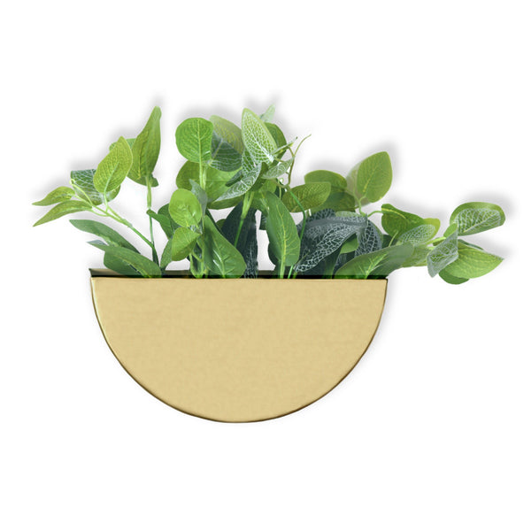 Crescent Metal Mounted Wall Planter in Antique Gold 1 BHK Interiors