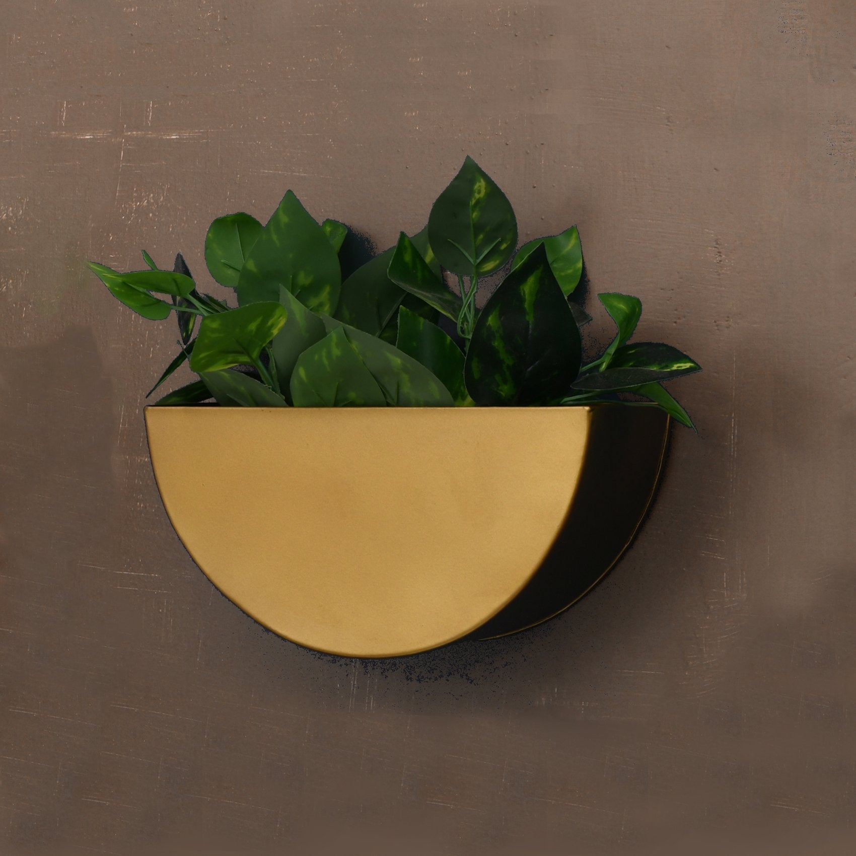 brass wall hanging planter Wall Planter: Crescent Metal Mounted Wall Planter in Antique Gold