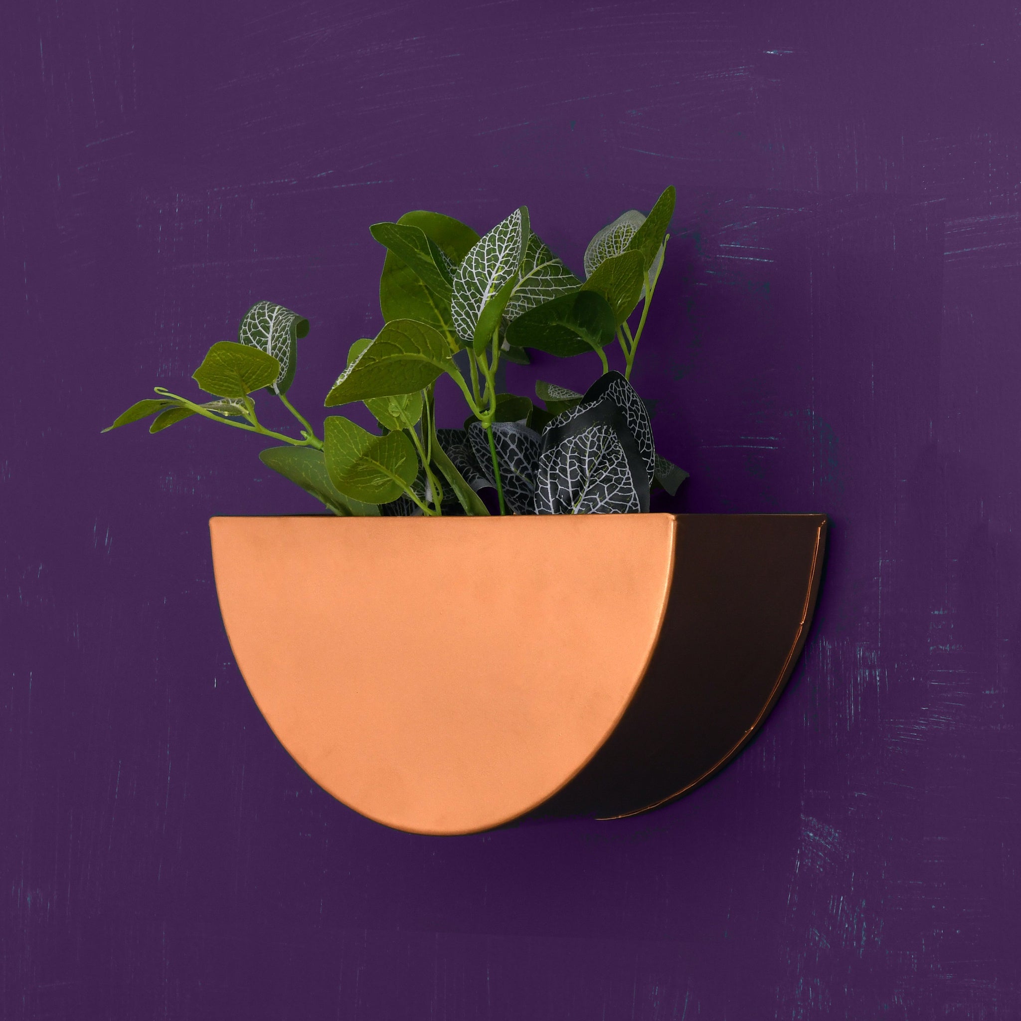 Crescent Metal Mounted Wall Planter in Rose Gold 1 BHK Interiors