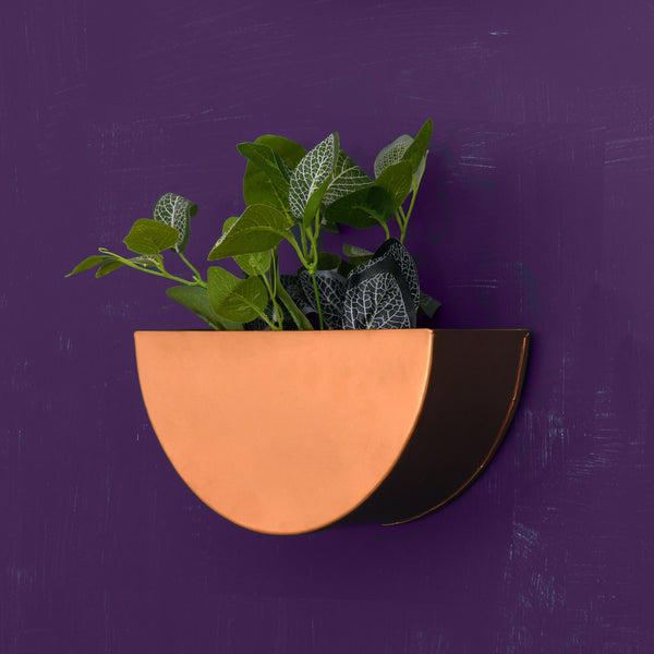 Crescent Metal Mounted Wall Planter in Rose Gold 1 BHK Interiors