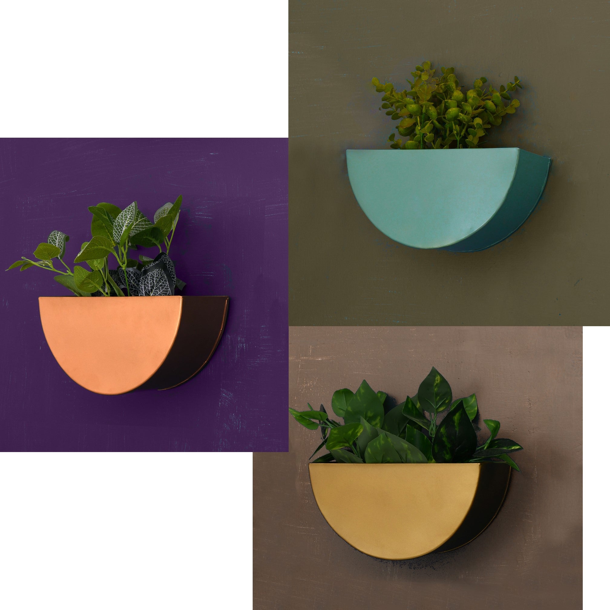 Crescent Metal Mounted Wall Planters 1 BHK Interiors