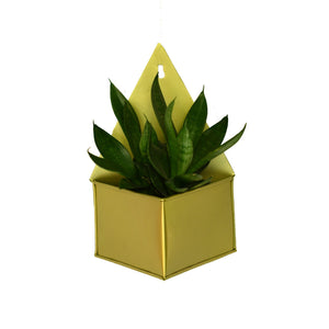 Diamond Hanging Metal Mounted Wall Planter / Letter Box in Matte Gold Finish 1 BHK Interiors