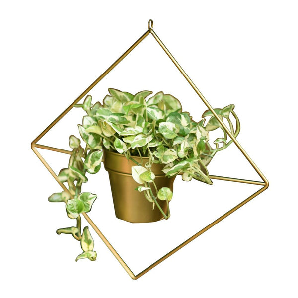 Diamond Shaped Metal Hanging Planter in Gold Finish 1 BHK Interiors