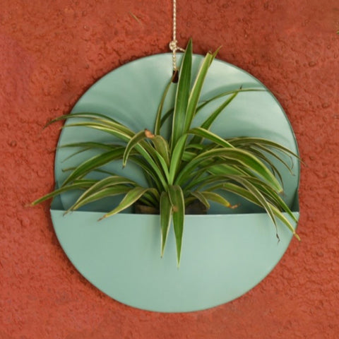 "Lunar" Hanging Metal Mounted Wall Planter / Letter Box in Fern Green 1 BHK Interiors