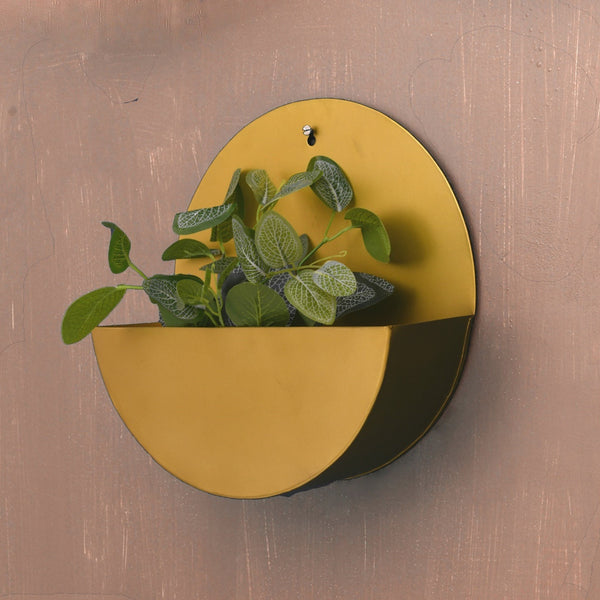 "Lunar" Hanging Metal Mounted Wall Planter / Letter Box in Matte Gold 1 BHK Interiors