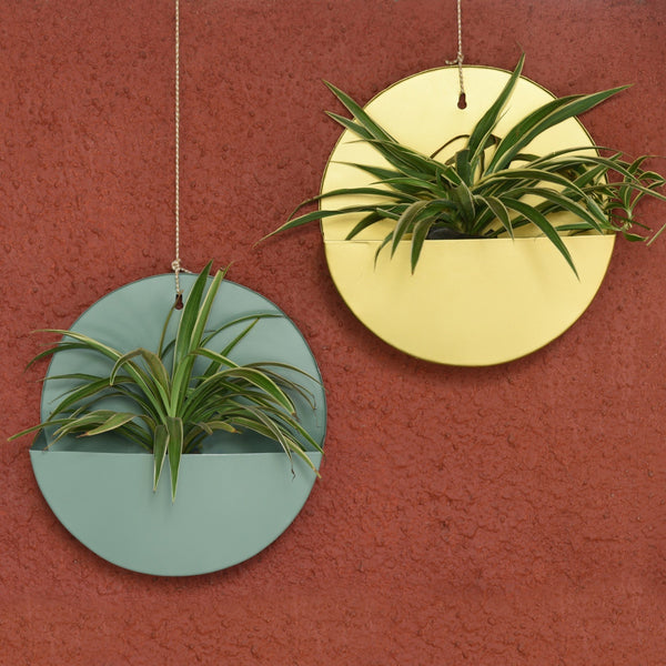 "Lunar" Hanging Metal Mounted Wall Planter / Letter Box in Matte Gold 1 BHK Interiors