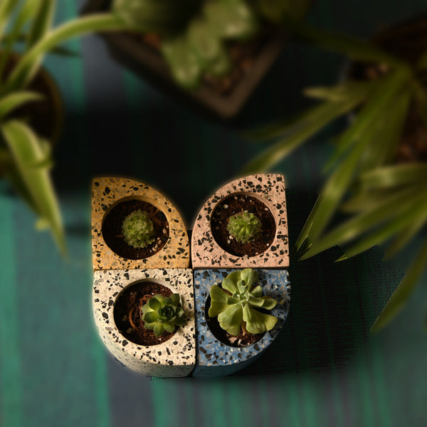 Quarter Concrete Table Top Pot / Planters with Terrazzo Print in 4 Colours 1 BHK Interiors