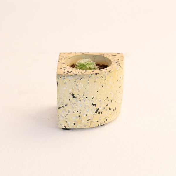 Quarter Concrete Table Top Pot / Planters with Terrazzo Print in 4 Colours 1 BHK Interiors