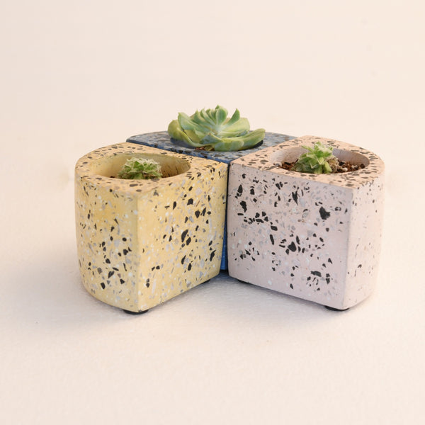 Quarter Concrete Table Top Pot / Planters with Terrazzo Print in 4 Colours 1 BHK Interiors