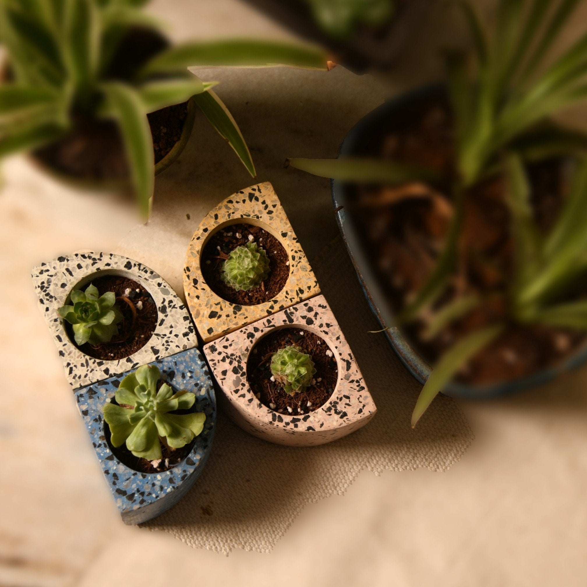 Quarter Concrete Table Top Pot / Planters with Terrazzo Print in 4 Colours 1 BHK Interiors