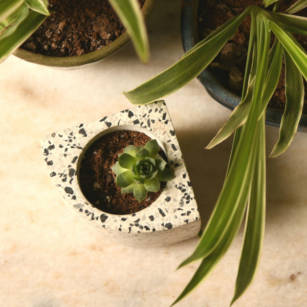 Quarter Concrete Table Top Pot / Planters with Terrazzo Print in 4 Colours 1 BHK Interiors