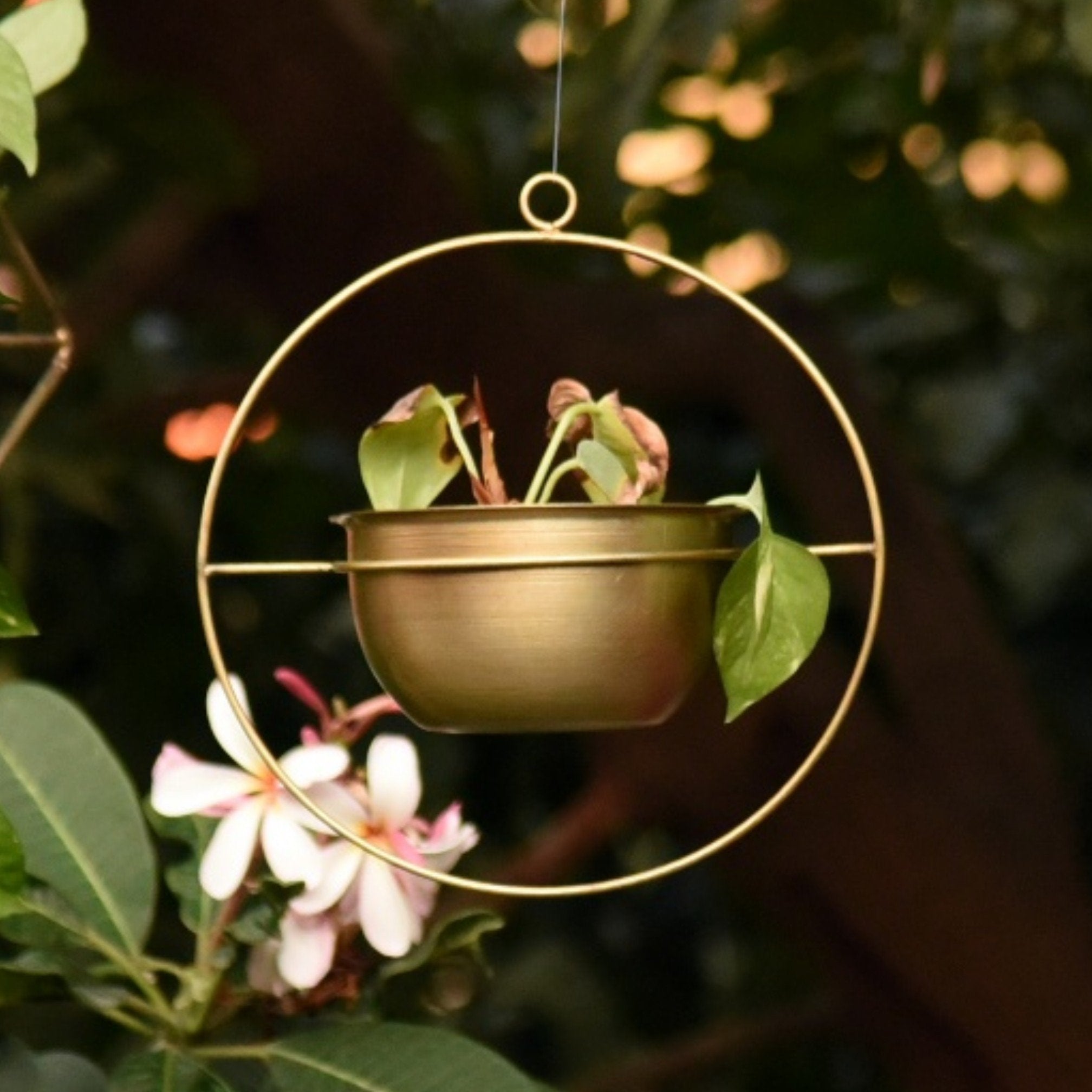 Round Metal Hanging Planter/Bird Feeder in Gold Finish (Small) 1 BHK Interiors