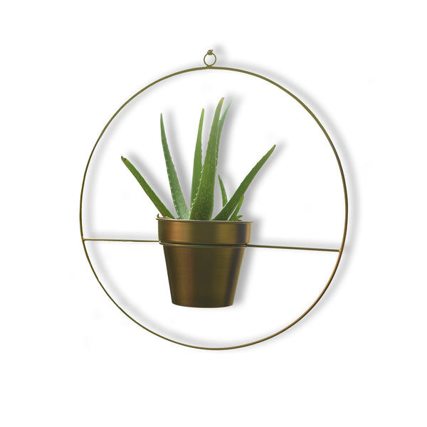 Round Metal Hanging Planter in Gold Finish (Large) 1 BHK Interiors