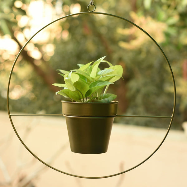 Round Metal Hanging Planter in Gold Finish (Large) 1 BHK Interiors