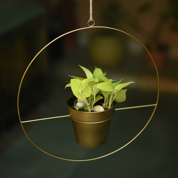 Round Metal Hanging Planter in Gold Finish (Large) 1 BHK Interiors