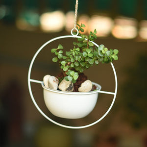 Round Metal Planter / Bird Feeder in White (Small) 1 BHK Interiors