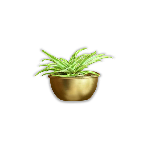 Simple Bowl Metal Planter/Pot in Gold Finish or White 1 BHK Interiors