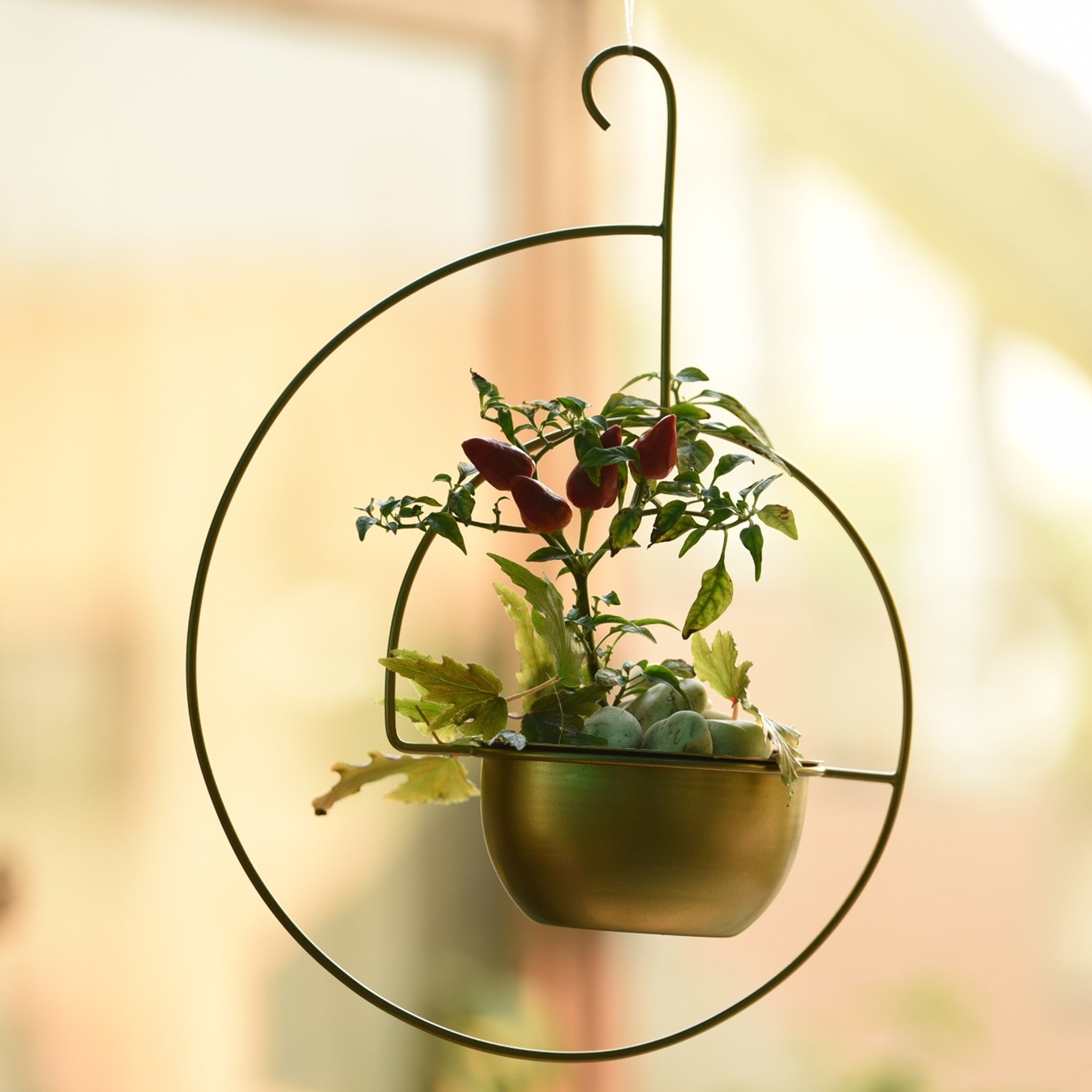 Spiral Metal Hanging Planter/Bird Feeder in Gold Finish