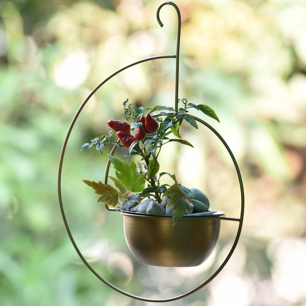 Spiral Metal Hanging Planter/Bird Feeder in Gold Finish 1 BHK Interiors