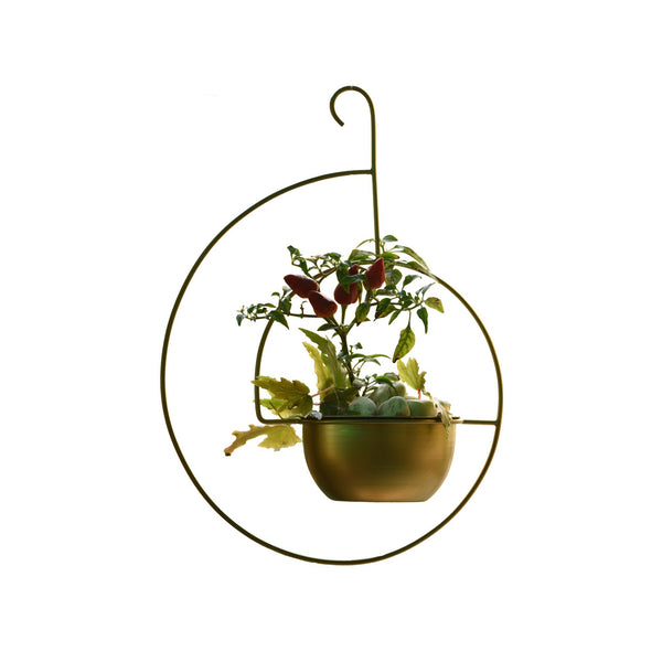 Spiral Metal Hanging Planter/Bird Feeder in Gold Finish 1 BHK Interiors