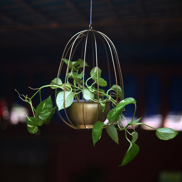 "Watermelon" Metal Candle Holder / Hanging Planter in Gold Finish (Optional Matching Bowl) 1 BHK Interiors