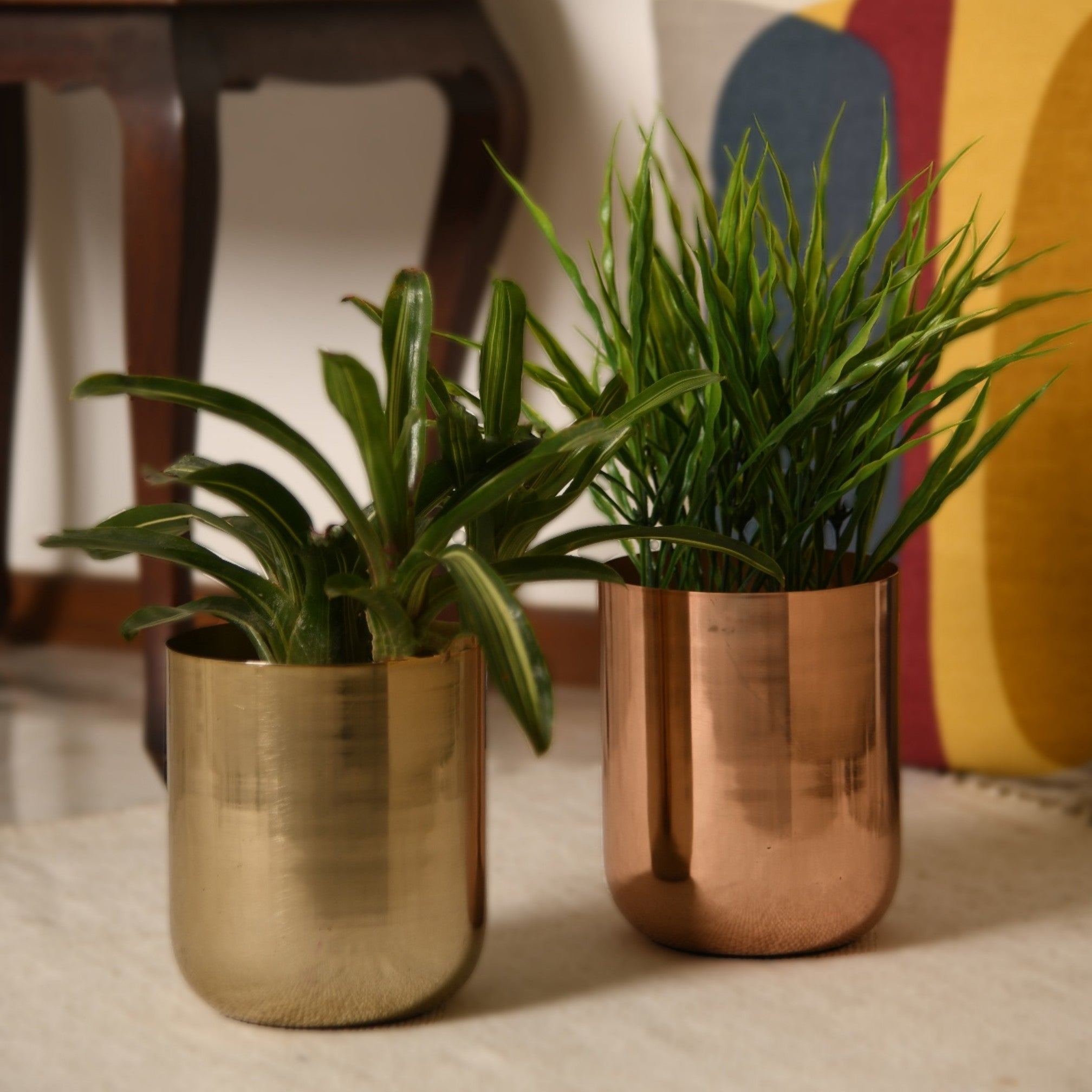 Curved Glossy Metal Table Top Pot / Planter in Rose Gold or Gold 1 BHK Interiors