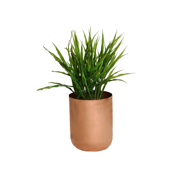 Curved Glossy Metal Table Top Pot / Planter in Rose Gold or Gold 1 BHK Interiors