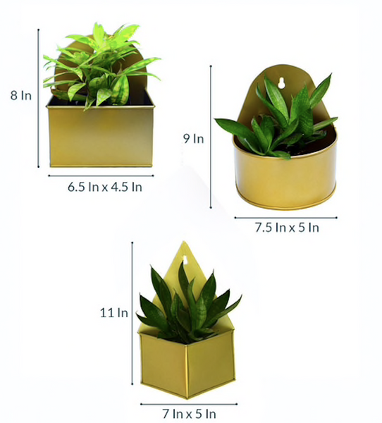 Geometric Hanging Metal Mounted Wall Planter / Letter Box in Matte Gold Finish - 3 Shapes 1 BHK Interiors