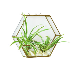 Hexagon Hanging Planter in Metal & Glass in Gold Finish 1 BHK Interiors