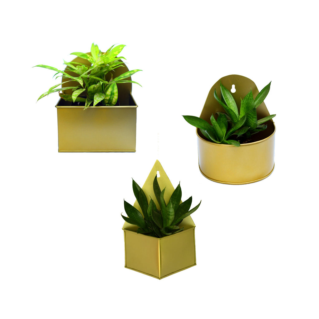 gold geometric hanging planter Geometric Hanging Metal Mounted Wall Planter / Letter Box in Matte Gol